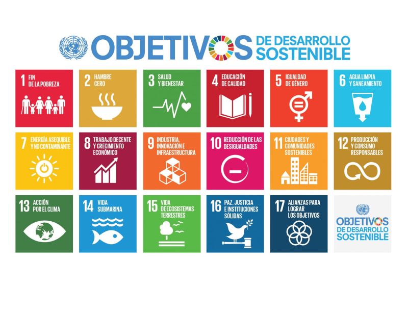 OBJETIVOS DE DESARROLLO SOSTENIBLE (ONU)